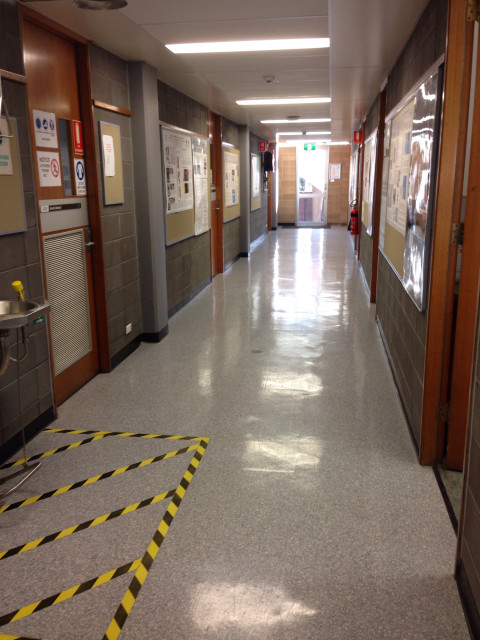 Down the corridor