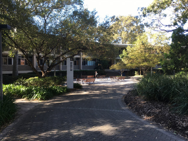 Follow the grey brick path!