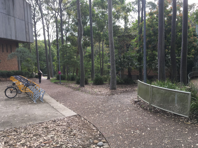 Pathway between Auchmuty and Language centre