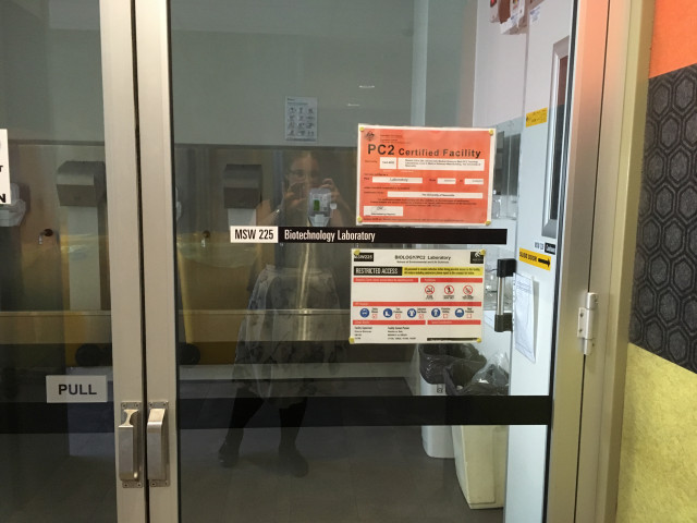 ... that's totally not me in the reflection. Nooo not at all...