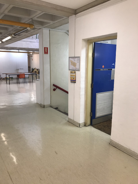 View when approaching from side entrance. Female toilets on the right, male toilets down the stairwell on the left