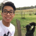 Josh Nguyen